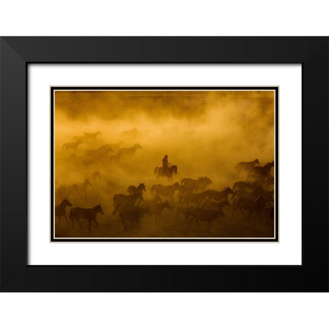 Horses Black Modern Wood Framed Art Print with Double Matting by Nisan Kandilcioglu, Ummu