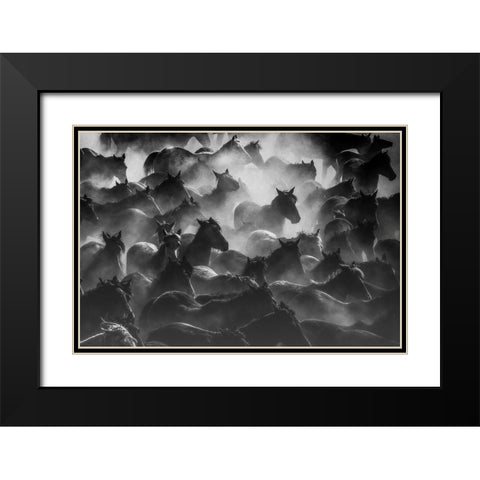 Horses 2 Black Modern Wood Framed Art Print with Double Matting by Nisan Kandilcioglu, Ummu