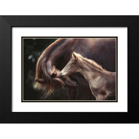 The Bond Black Modern Wood Framed Art Print with Double Matting by Willers, Heike