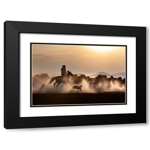 Noble Horses Black Modern Wood Framed Art Print with Double Matting by Atabek, ismail
