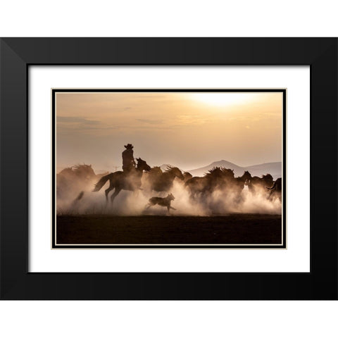 Noble Horses Black Modern Wood Framed Art Print with Double Matting by Atabek, ismail