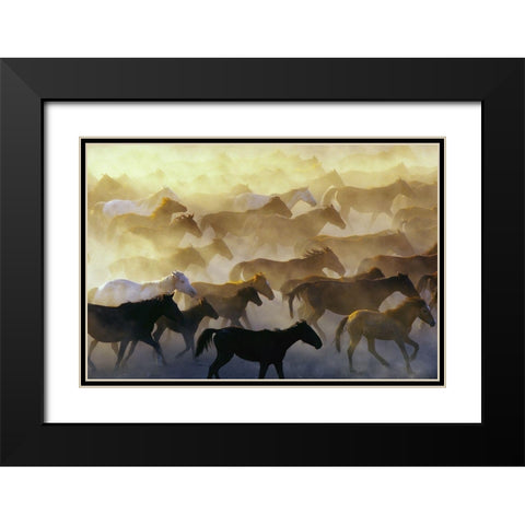 Wild horses Black Modern Wood Framed Art Print with Double Matting by Bagci, Emir