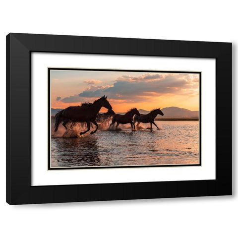 Water Horses Black Modern Wood Framed Art Print with Double Matting by Tekdogan, Barkan