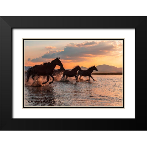 Water Horses Black Modern Wood Framed Art Print with Double Matting by Tekdogan, Barkan