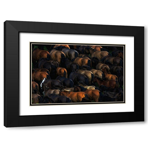 Wild horses Black Modern Wood Framed Art Print with Double Matting by Szuszkiewicz, Konrad