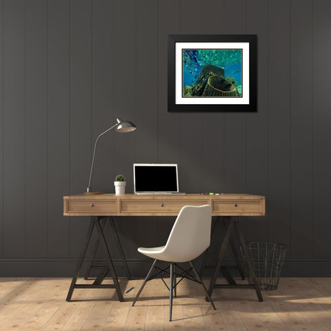 Rockfish and coral-Panglao Island-Philippines Black Modern Wood Framed Art Print with Double Matting by Fitzharris, Tim