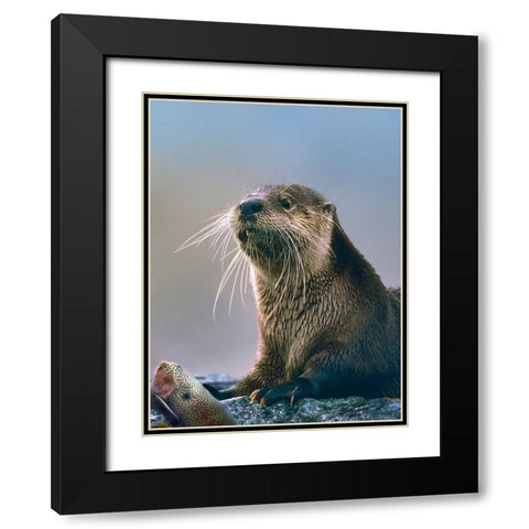 River Otter with fish Black Modern Wood Framed Art Print with Double Matting by Fitzharris, Tim