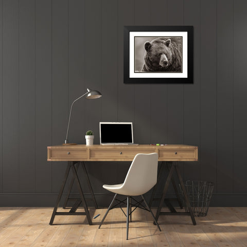 Cinnamon Black Bear Sepia Black Modern Wood Framed Art Print with Double Matting by Fitzharris, Tim