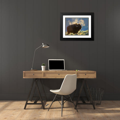 Bison Black Modern Wood Framed Art Print with Double Matting by Fitzharris, Tim