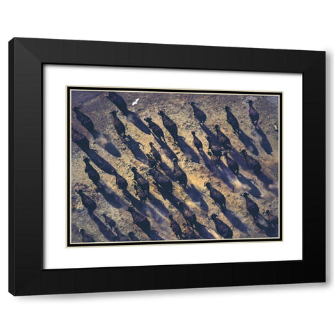 African buffalo stampede Black Modern Wood Framed Art Print with Double Matting by Fitzharris, Tim
