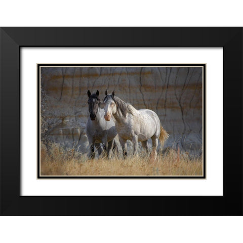 Wild horses Badlands Natl Park SD Black Modern Wood Framed Art Print with Double Matting by Fitzharris, Tim