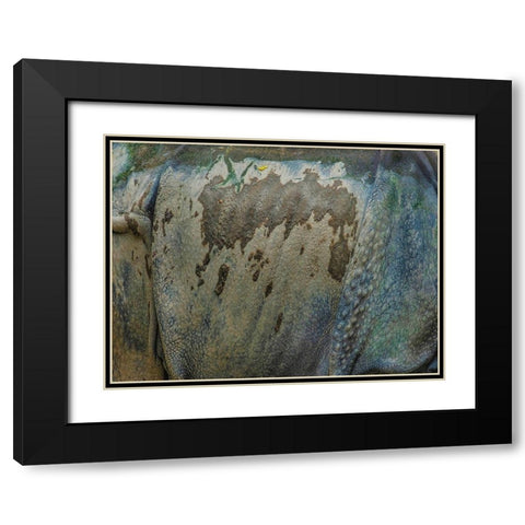 Living skin-Indian Rhino Black Modern Wood Framed Art Print with Double Matting by Fitzharris, Tim