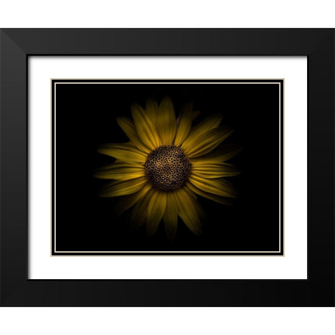 Backyard Flowers Yellow 18 Black Modern Wood Framed Art Print with Double Matting by Carson, Brian