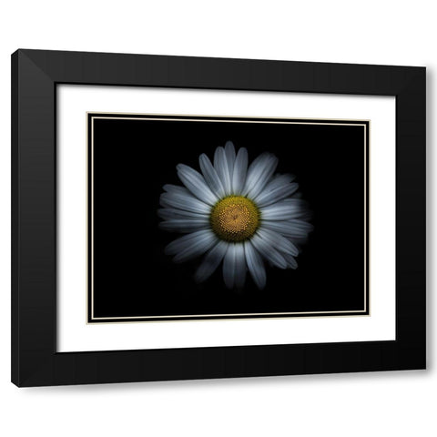 Backyard Flowers White 31 Black Modern Wood Framed Art Print with Double Matting by Carson, Brian