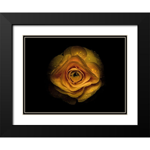 Backyard Flowers Gold 74 Black Modern Wood Framed Art Print with Double Matting by Carson, Brian