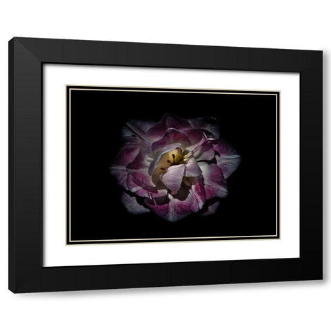 Backyard Flowers Purple 81 Black Modern Wood Framed Art Print with Double Matting by Carson, Brian