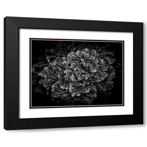 Backyard Flowers Black and White 42 Black Modern Wood Framed Art Print with Double Matting by Carson, Brian