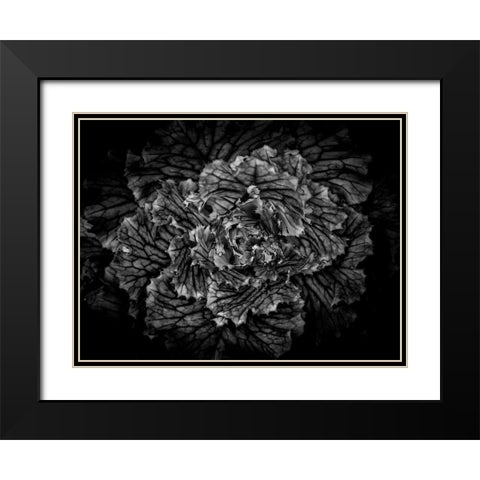 Backyard Flowers Black and White 42 Black Modern Wood Framed Art Print with Double Matting by Carson, Brian