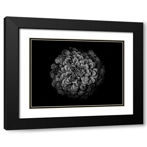 Backyard Flowers Black and White 54 Black Modern Wood Framed Art Print with Double Matting by Carson, Brian
