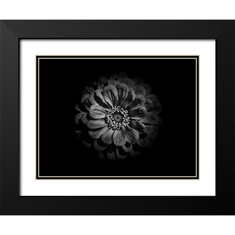 Backyard Flowers Black and White 58 Black Modern Wood Framed Art Print with Double Matting by Carson, Brian