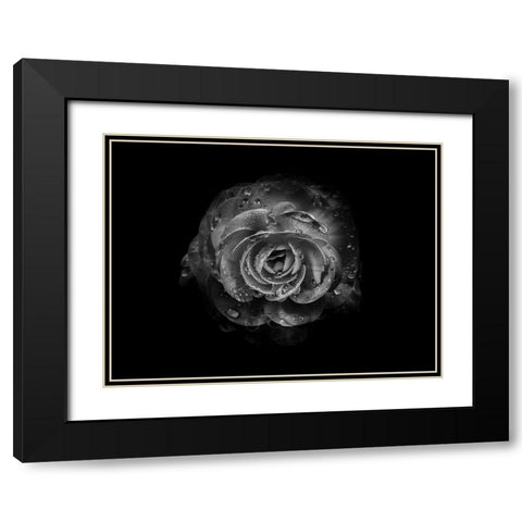 Backyard Flowers Black and White 64 Black Modern Wood Framed Art Print with Double Matting by Carson, Brian