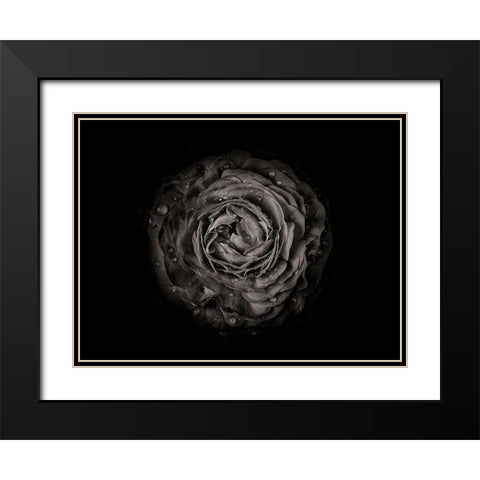 Backyard Flowers Black and White 73 Black Modern Wood Framed Art Print with Double Matting by Carson, Brian