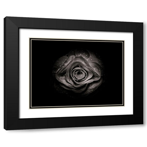 Backyard Flowers Black and White 74 Black Modern Wood Framed Art Print with Double Matting by Carson, Brian
