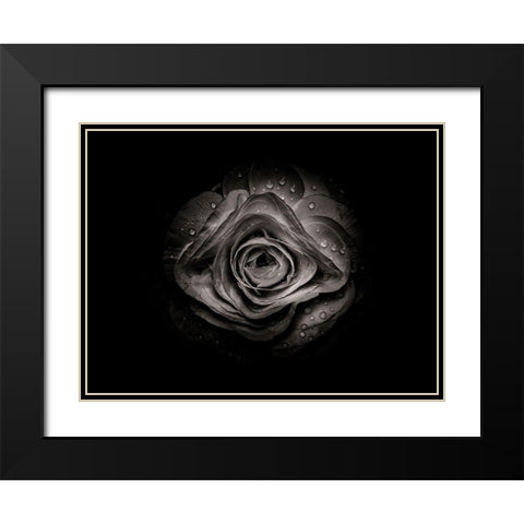 Backyard Flowers Black and White 74 Black Modern Wood Framed Art Print with Double Matting by Carson, Brian