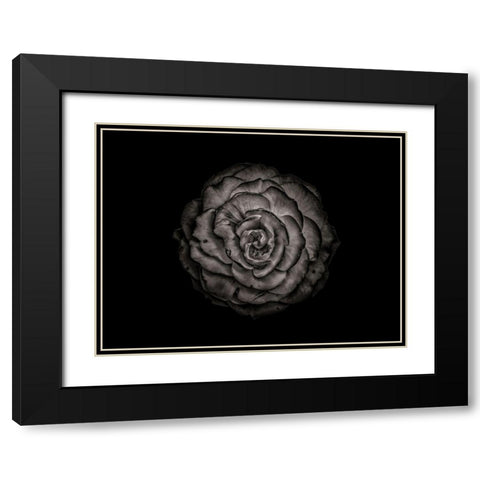 Backyard Flowers Black and White 85 Black Modern Wood Framed Art Print with Double Matting by Carson, Brian