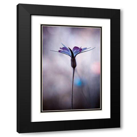 Sylvidra Black Modern Wood Framed Art Print with Double Matting by Bravin, Fabien