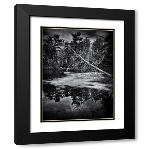 Gullwing Lake No 2 Black Modern Wood Framed Art Print with Double Matting by Carson, Brian