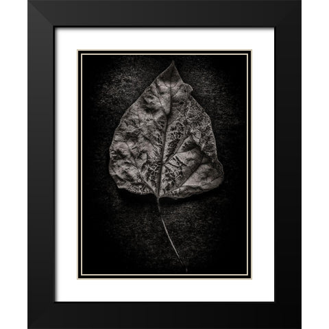Leaves No 1 Black and White Black Modern Wood Framed Art Print with Double Matting by Carson, Brian