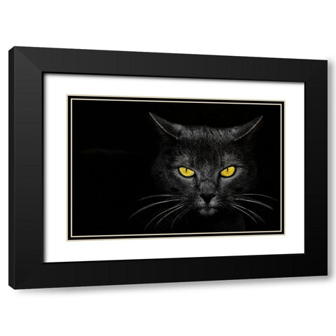 Monster Kill Black Modern Wood Framed Art Print with Double Matting by Baloh, Davorin