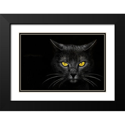 Monster Kill Black Modern Wood Framed Art Print with Double Matting by Baloh, Davorin