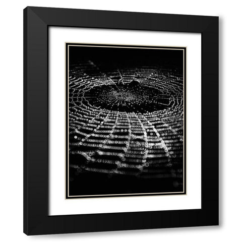 Spiderweb No 1 Black Modern Wood Framed Art Print with Double Matting by Carson, Brian