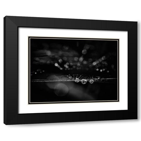 Spiderweb No 2 Black Modern Wood Framed Art Print with Double Matting by Carson, Brian