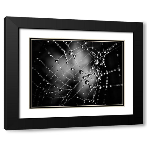 Spiderweb No 3 Black Modern Wood Framed Art Print with Double Matting by Carson, Brian