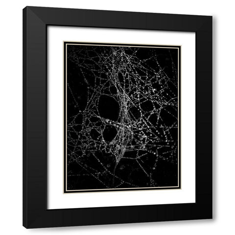 Spiderweb No 4 Black Modern Wood Framed Art Print with Double Matting by Carson, Brian