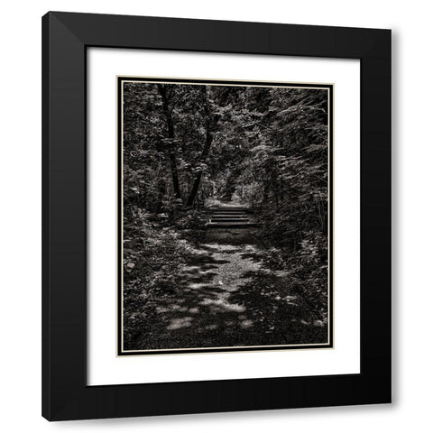 Walk in the Park Black Modern Wood Framed Art Print with Double Matting by Carson, Brian