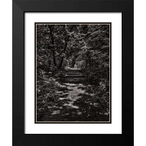 Walk in the Park Black Modern Wood Framed Art Print with Double Matting by Carson, Brian