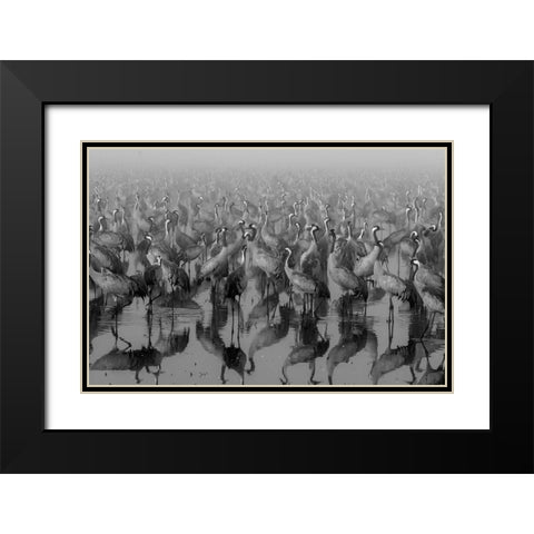 Crosspoint Black Modern Wood Framed Art Print with Double Matting by Meirovich, ido