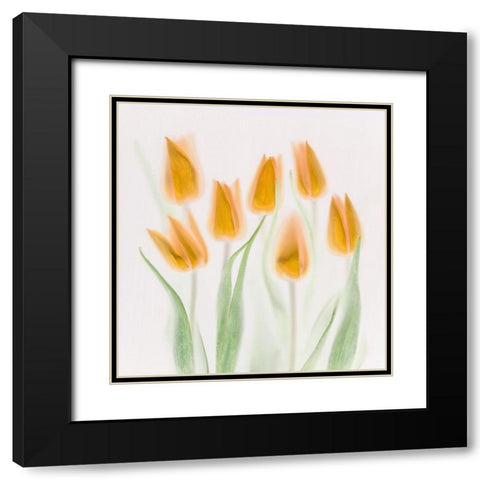 Golden Tulips Black Modern Wood Framed Art Print with Double Matting by Haslam, Brian