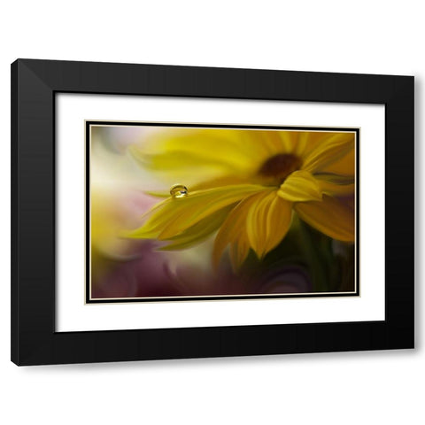 SunBeam Black Modern Wood Framed Art Print with Double Matting by Nan, Juliana