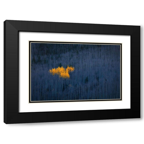 Heart of Aspens Black Modern Wood Framed Art Print with Double Matting by Zheng, Michael