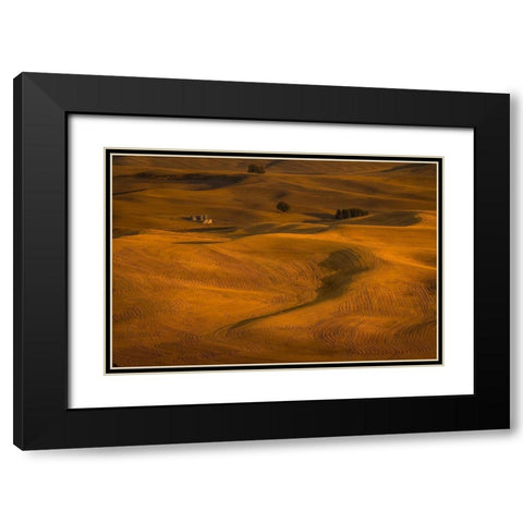Wheat Field in Sunset Black Modern Wood Framed Art Print with Double Matting by Wang, David
