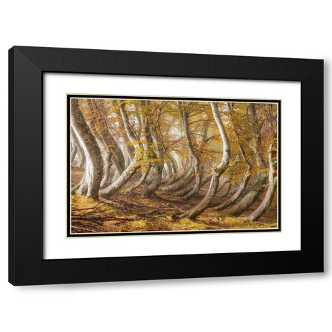 The wooden army Black Modern Wood Framed Art Print with Double Matting by Ruoppolo, Luigi