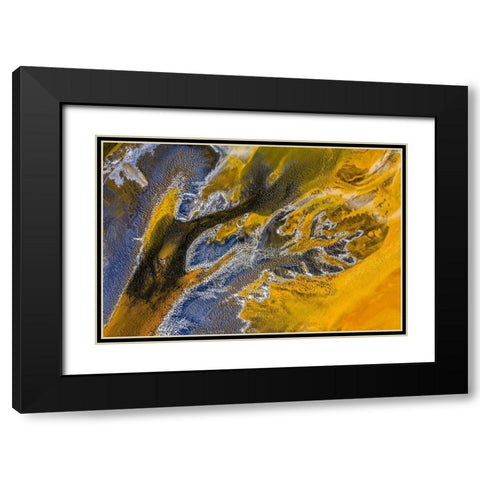 Poisoned flowers Black Modern Wood Framed Art Print with Double Matting by Pop, Ovi