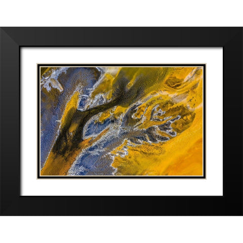 Poisoned flowers Black Modern Wood Framed Art Print with Double Matting by Pop, Ovi