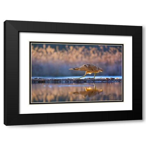 Patrol Black Modern Wood Framed Art Print with Double Matting by Chang, Phillip