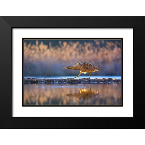 Patrol Black Modern Wood Framed Art Print with Double Matting by Chang, Phillip